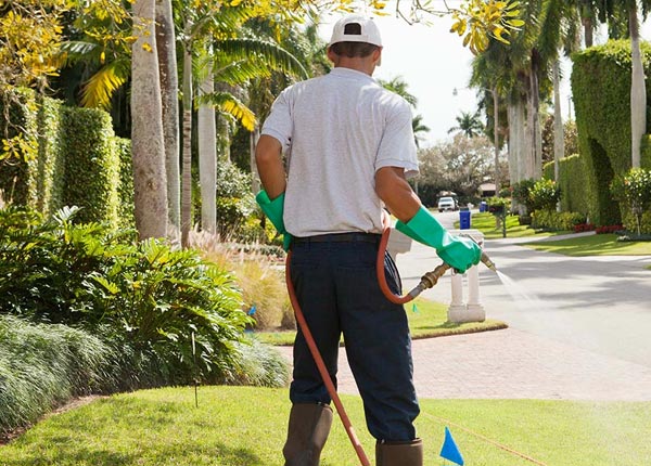 About Mexia AL Pest Control